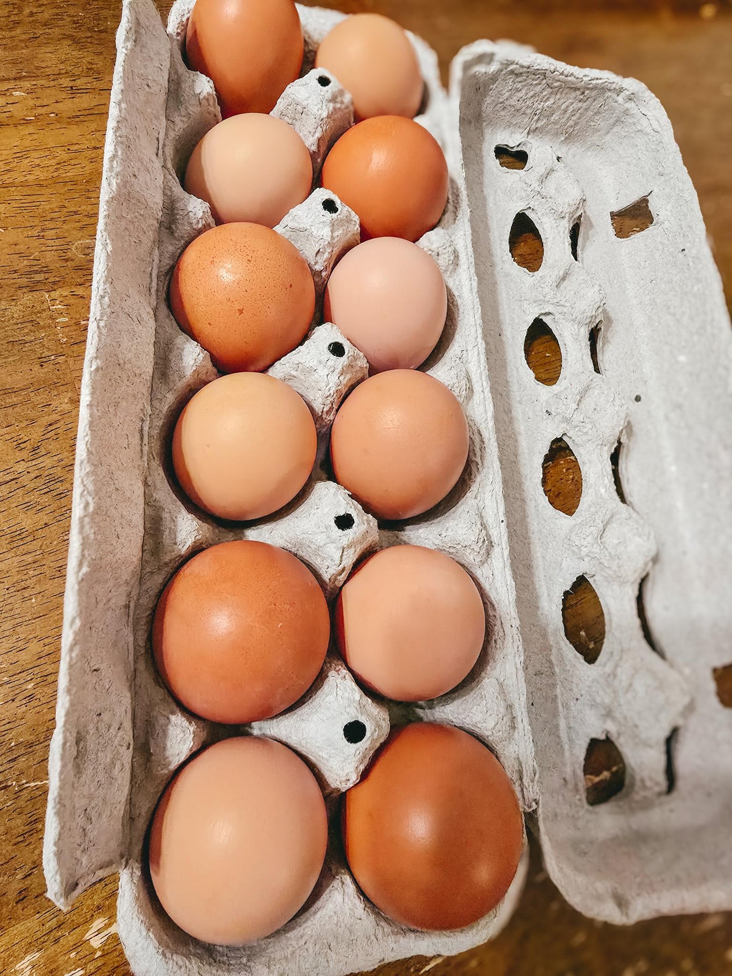 Fresh Farm Run Eggs(dozen)